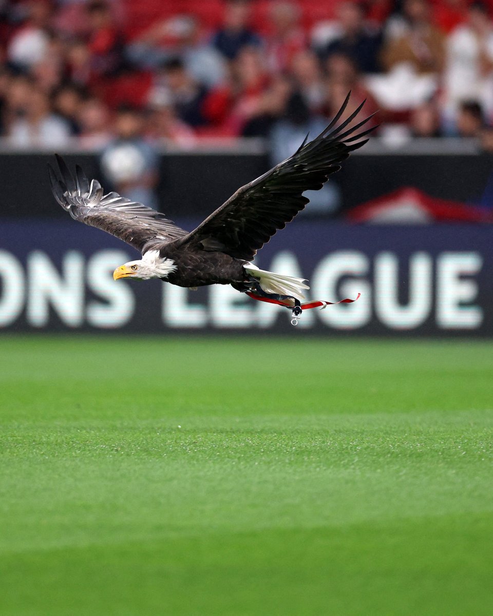 🦅

#UCL