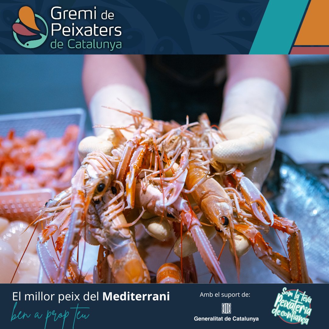 gremipeixaters's tweet image. 🍽️ Salut, qualitat, tradició i sabor… tot ben a prop teu!

A les peixateries de Catalunya, sempre trobaràs el millor peix i marisc per a la teva alimentació saludable i deliciosa!

#PeixFresc #CuinaMediterrània #gremipeixaters #Peixateries #PeixateriesDeConfiança