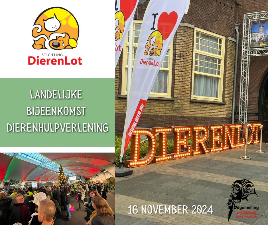 • #Landelijke #Bijeenkomst #Dierenhulpverlening 2024 •Het was weer een mooie dag afgelopen zaterdag. 
#interessante #lezingen en tijd voor het onderhouden en uitbreiden van de #netwerken.Wij kregen
 een cheque van €6000,- mee naar huis, geweldig! #StichtingDierenLot #Bedankt!