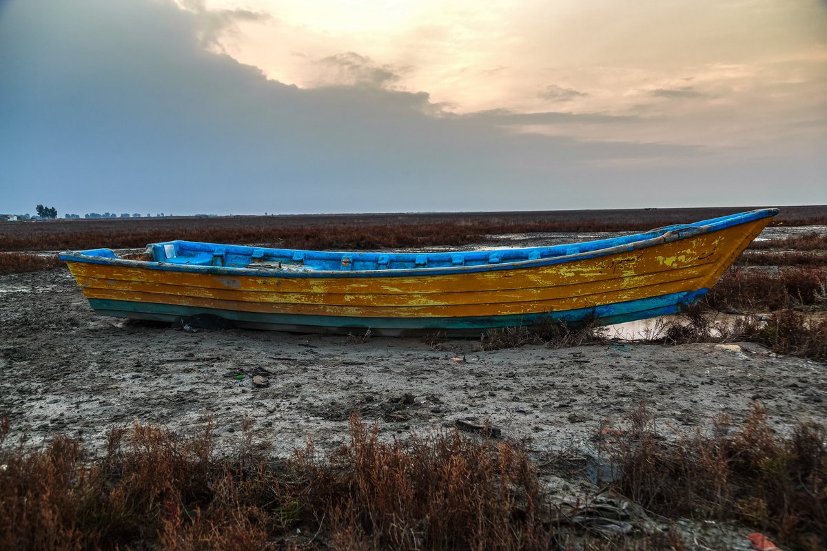 The alarming water decline in the #CaspianSea becomes a key issue at #COP29 in Baku. 

In my article for Context, I spoke to experts about Iran’s new environment head and the country’s participation in this year’s UN climate talks 👇🏼🌎

context.news/climate-risks/…