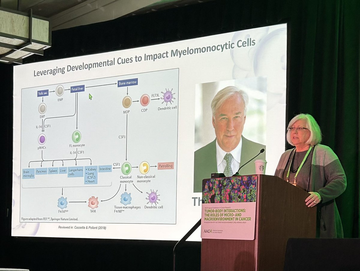 Mikala Egeblad (@megeblad) on Twitter photo Two important points raised by <a href="/coussens_lisa/">LisaCoussens@CoussensLab</a>: 1) the connection between development and cancer, and 2) remembering the pioneers in the field.
We miss Jeff Pollard: great science and always going to the microphone asking THE important question.
#AACRtumorenviron24 Two important points raised by <a href="/coussens_lisa/">LisaCoussens@CoussensLab</a>: 1) the connection between development and cancer, and 2) remembering the pioneers in the field.
We miss Jeff Pollard: great science and always going to the microphone asking THE important question.
#AACRtumorenviron24