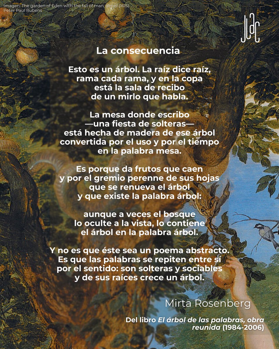 Para la poeta Mirta Roseneberg el mundo es un bosque de palabras y vegetación a la espera de que abramos nuestros sentidos para transcribirlos en experiencia.

#Palabras #Descubrimiento #PoesíaArgentina #MirtaRosenberg