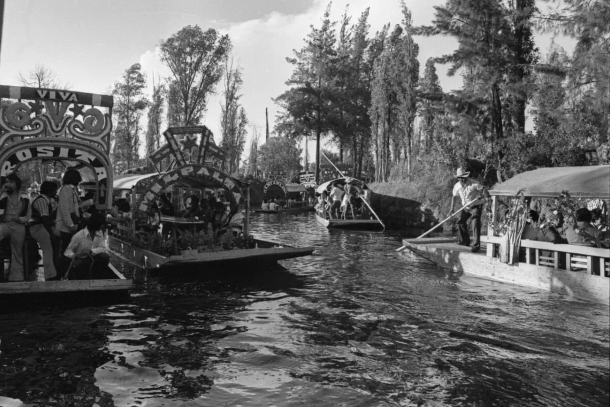 mafcultura's tweet photo. Memoria fotográfica ro
MX-MAF-DGCSGDF-017985-03 CONCURSO DE LA FLOR MÁS BELLA DEL EJIDO EN XOCHIMILCO, TRAJINERAS ARREGLADAS 1977 ABRIL 02 19 DE NOVIEMBRE, "DÍA DEL PATRIMONIO"

#HistoriaLocal #Memoria #memoriafotográfica
#fotografía #acervomaf https://t.co/rBu9dFwtQx