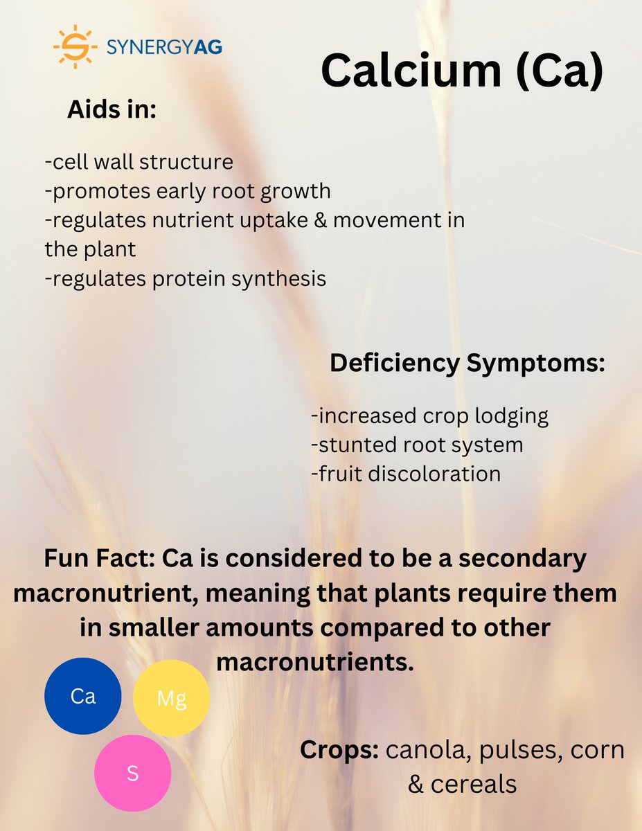 #FunFactFriday !

#DYK that calcium is an important secondary macronutrient for poding crops?

#SynergyAg #rootsyoucancounton #calcium #nutrients