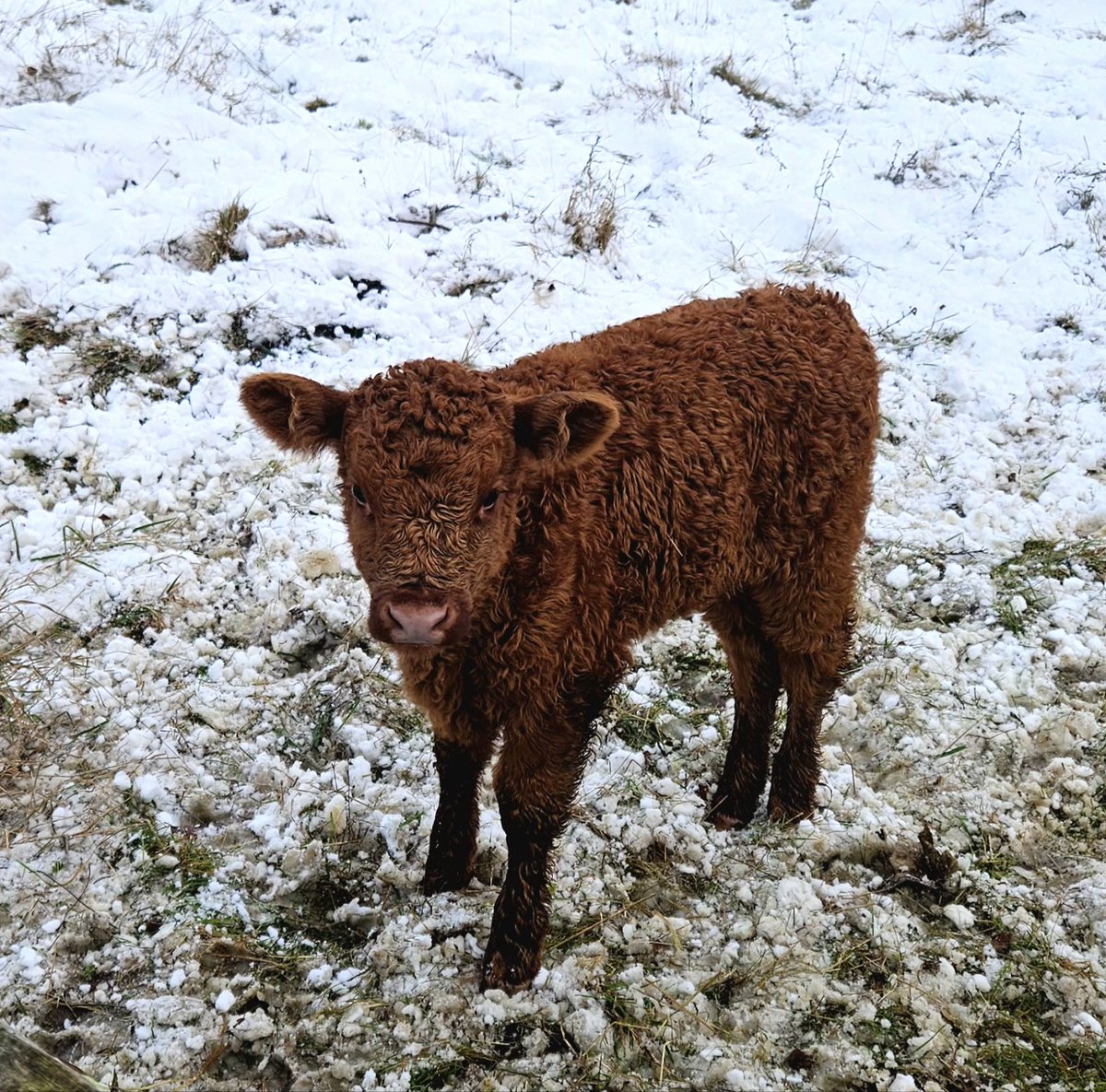 Customdiver's tweet image. A beautiful day in the Peak District just on the edge of Sheffield.