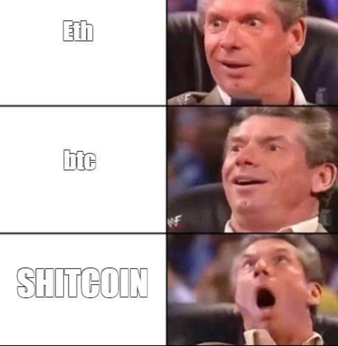 Shitcoin | TON memecoin tweet media
