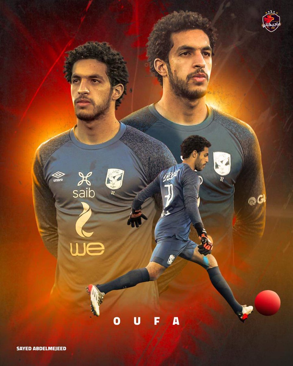 مصطفى شوبير
