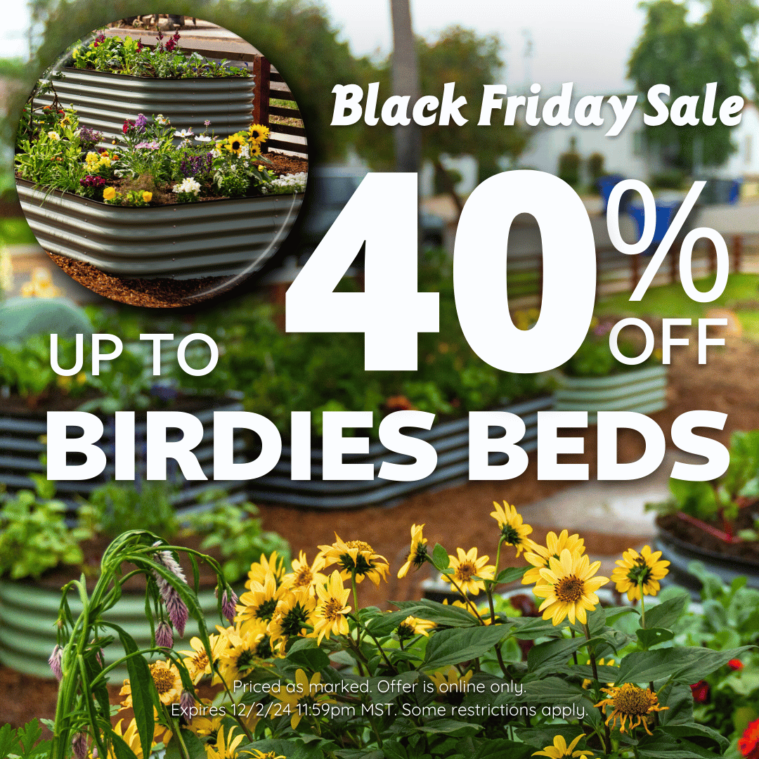 Botanical Interests 🌻 tweet media