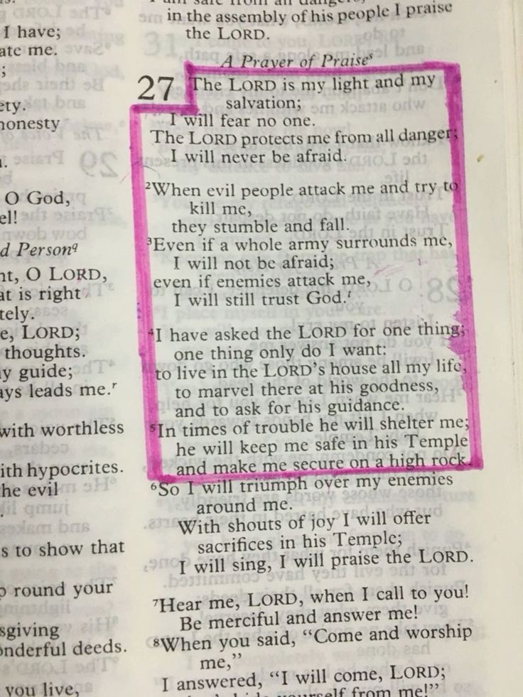 Holy Bible (@holy__bible1) on Twitter photo 