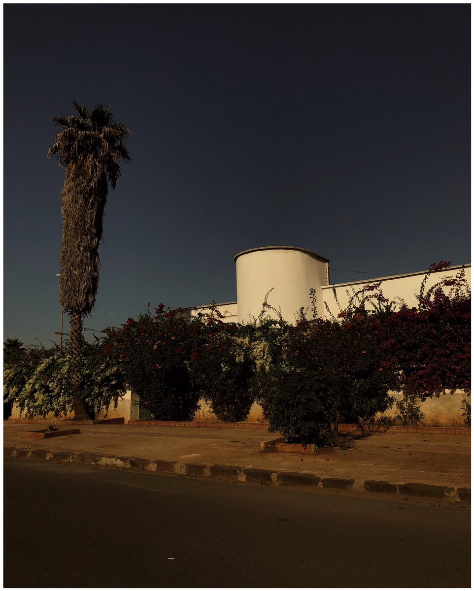 Somewhere in Casablanca - November 2024 

By Djilly •