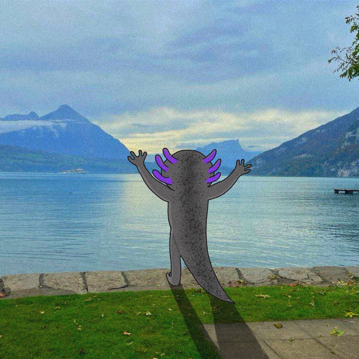 AxelAxolotlSol's tweet photo. $AXEL says GM to the world, say it back :) https://t.co/xzoBWx2Pk4