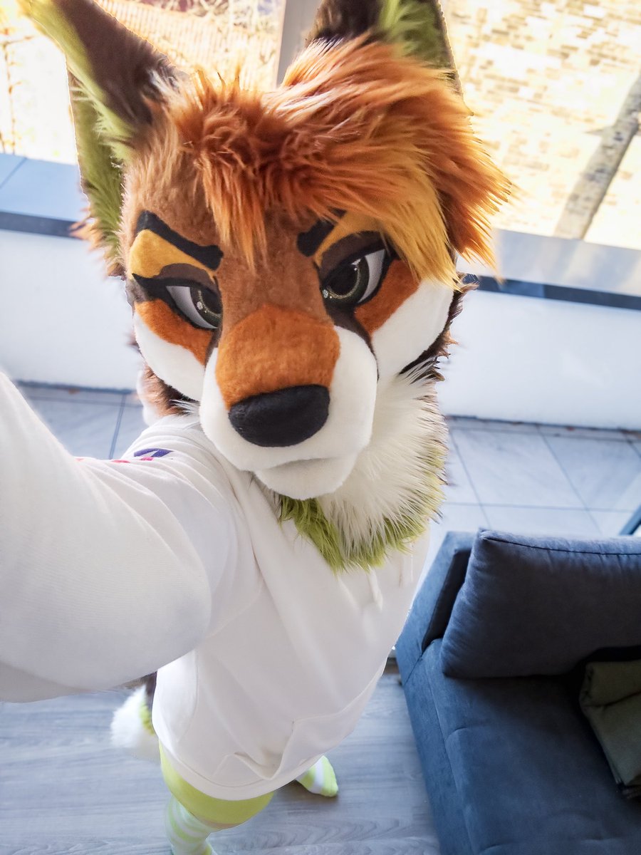 FractalTheFox's tweet photo. You, me and couch cuddles? 🦊🫂🛋️ https://t.co/isYsEZdZIA