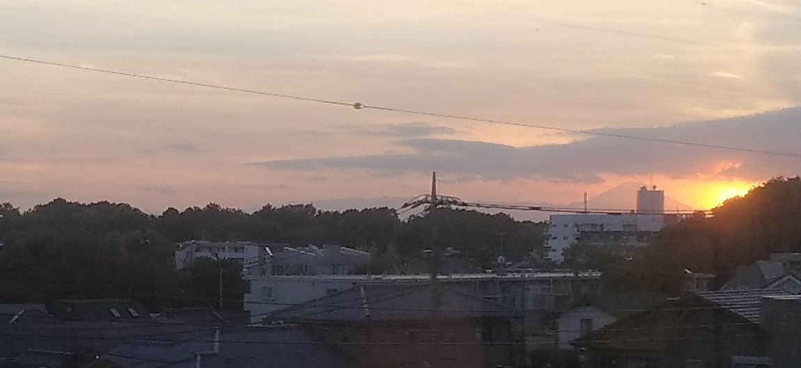 電車乗ってたら見えたんであわてて撮ったけどこれ富士山でええんか。方角的には合ってるはずなんだけど。都内から見えるもんなんやなあ。