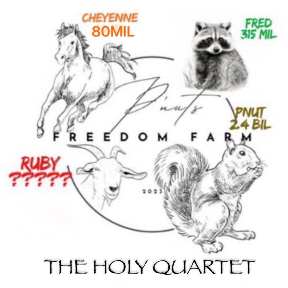 another million $RUBY has been donated to #Pnutsfreedomfarm

its just a matter of time before they post us on theyre instagram page

solscan.io/tx/2qK8b1NZq7M…

how high will the donation go ? hmm, hmm indeed!