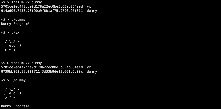 5mukx's tweet photo. Writing a Self-Mutating Malware:

https://t.co/WXF24Knzi3 https://t.co/K2iUQrOHKK