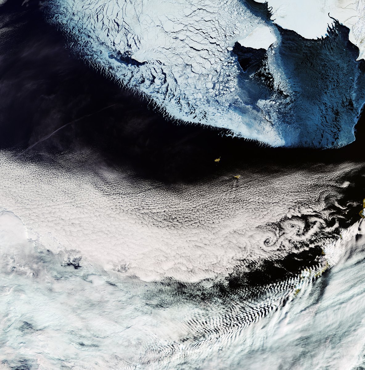 ESA's CryoSat mission (@esa_cryosat) on Twitter photo Despite the societal and economic importance of the Bering Sea, recent rapid changes in surface ocean conditions are not well documented.
Time to address that gap with some #CryoSat data thanks to <a href="/FischerReint/">Reint Fischer</a> <a href="/dr_slfarrell/">Dr Sinead L Farrell</a> & co.
journals.ametsoc.org/view/journals/… Despite the societal and economic importance of the Bering Sea, recent rapid changes in surface ocean conditions are not well documented.
Time to address that gap with some #CryoSat data thanks to <a href="/FischerReint/">Reint Fischer</a> <a href="/dr_slfarrell/">Dr Sinead L Farrell</a> & co.
journals.ametsoc.org/view/journals/…
