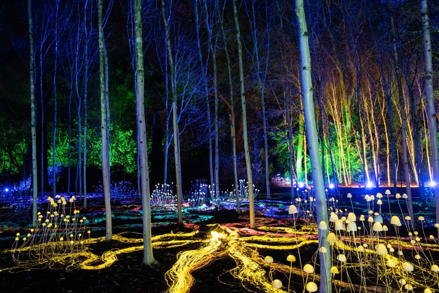RBGE Creative Programmes (@rbgecreative) on Twitter photo There’s not long to go now until Christmas at the Botanics is back! Join us for the most wonderful time of the year below:
rbge.org.uk/whats-on/chris…
The gallery will close early on 21 Nov @ 2:30pm and 24 Nov/ 4 Dec @ 3pm. Last entry is 15 mins before on all dates.
<a href="/TheBotanics/">Royal Botanic Garden Edinburgh</a> There’s not long to go now until Christmas at the Botanics is back! Join us for the most wonderful time of the year below:
rbge.org.uk/whats-on/chris…
The gallery will close early on 21 Nov @ 2:30pm and 24 Nov/ 4 Dec @ 3pm. Last entry is 15 mins before on all dates.
<a href="/TheBotanics/">Royal Botanic Garden Edinburgh</a>