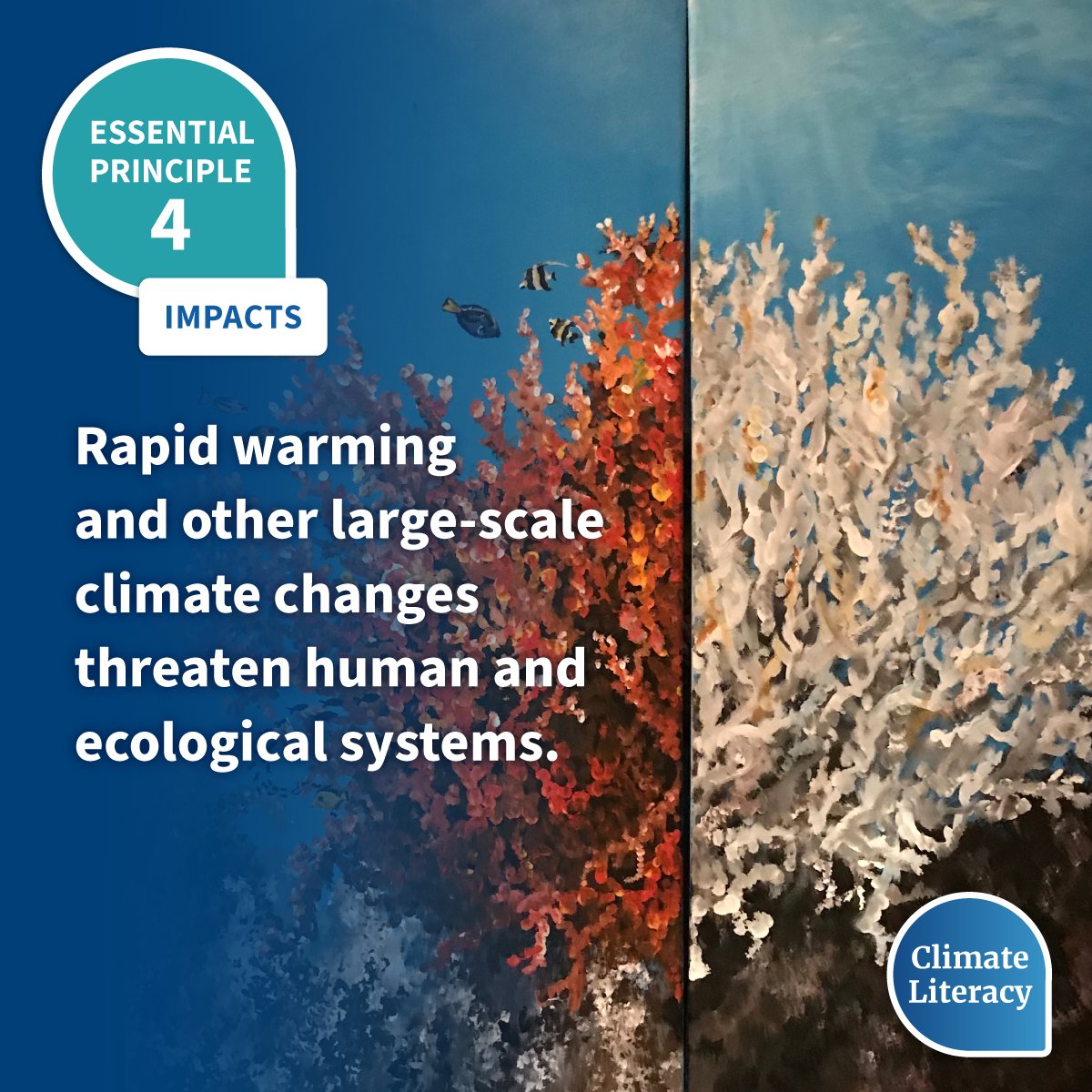 Climate literacy principle #4

As of 2021, Earth had warmed by about 1.1°C above preindustrial levels. The current rate of warming is roughly 30x faster than the rate at which Earth warmed as it emerged from the last ice age.

More: climate.gov/teaching/clima…