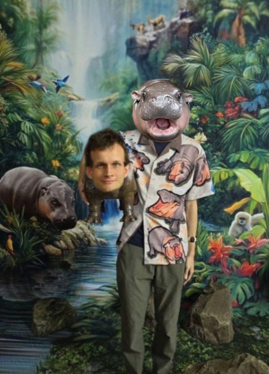 Hippo tweet media