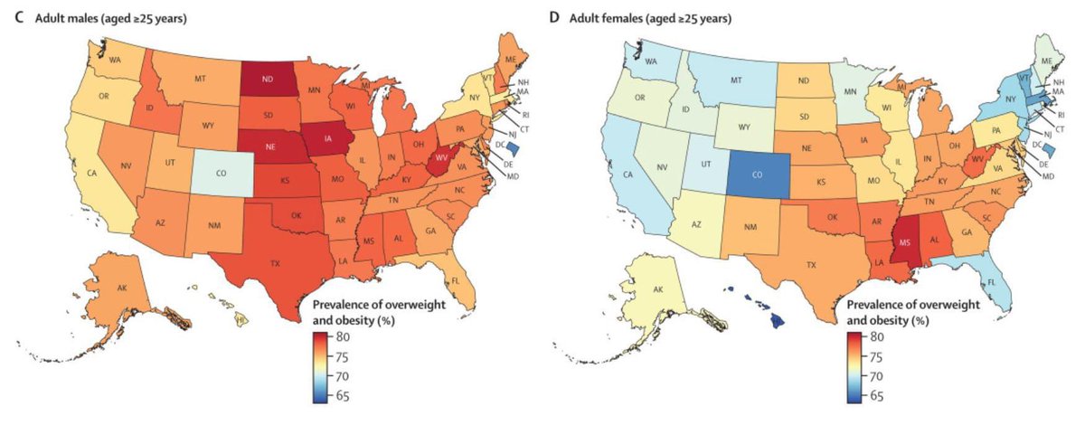 Tal Ben moshe tweet media
