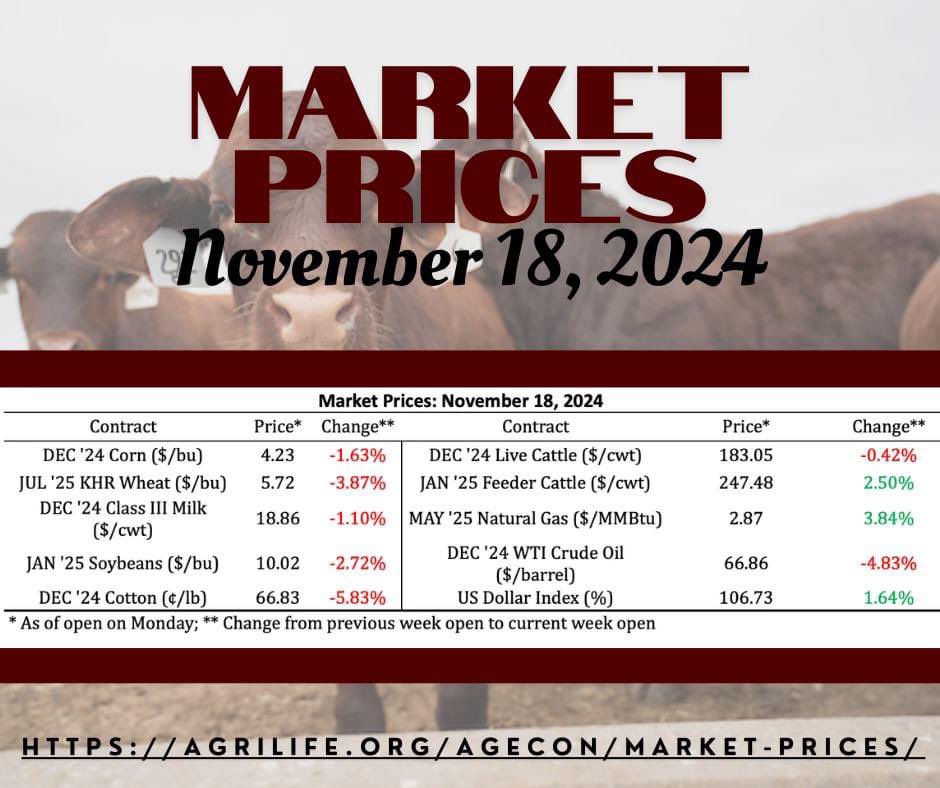 Stay up-to-date with the latest agricultural commodity market price updates to track price movements and market trends. Check out this week’s shifts in the industry. agrilife.org/agecon/market-…