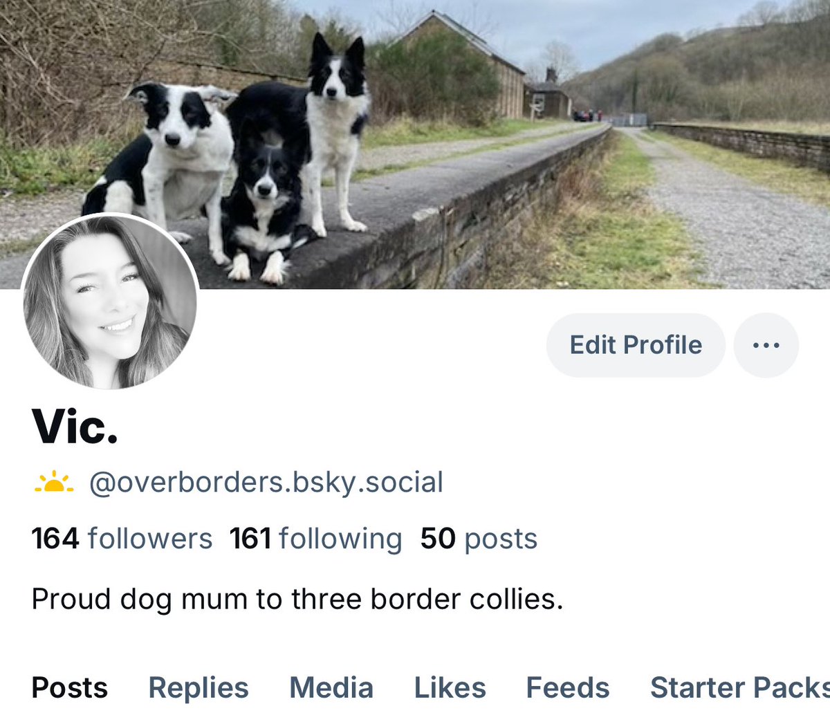 Borders & Beeching. tweet media