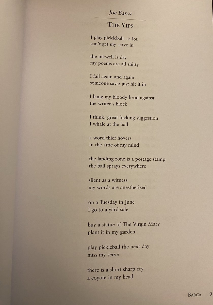 shepherdmoon tweet media