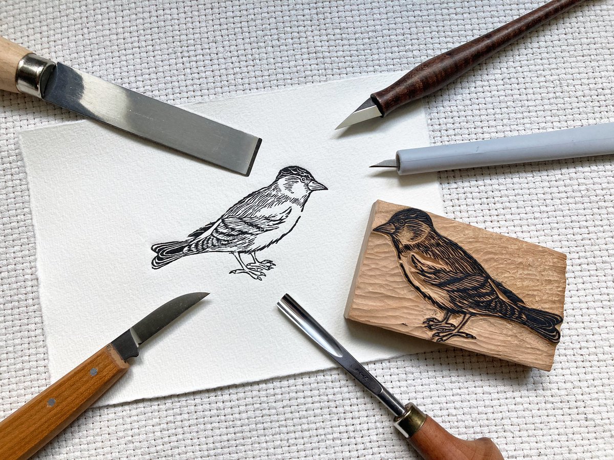 This block was very suitable for practicing cutting curved lines. 

Image source: Acanthide from Conrad Gessner's Historiae Animalium Liber III. qui est de Avium natura (1585).