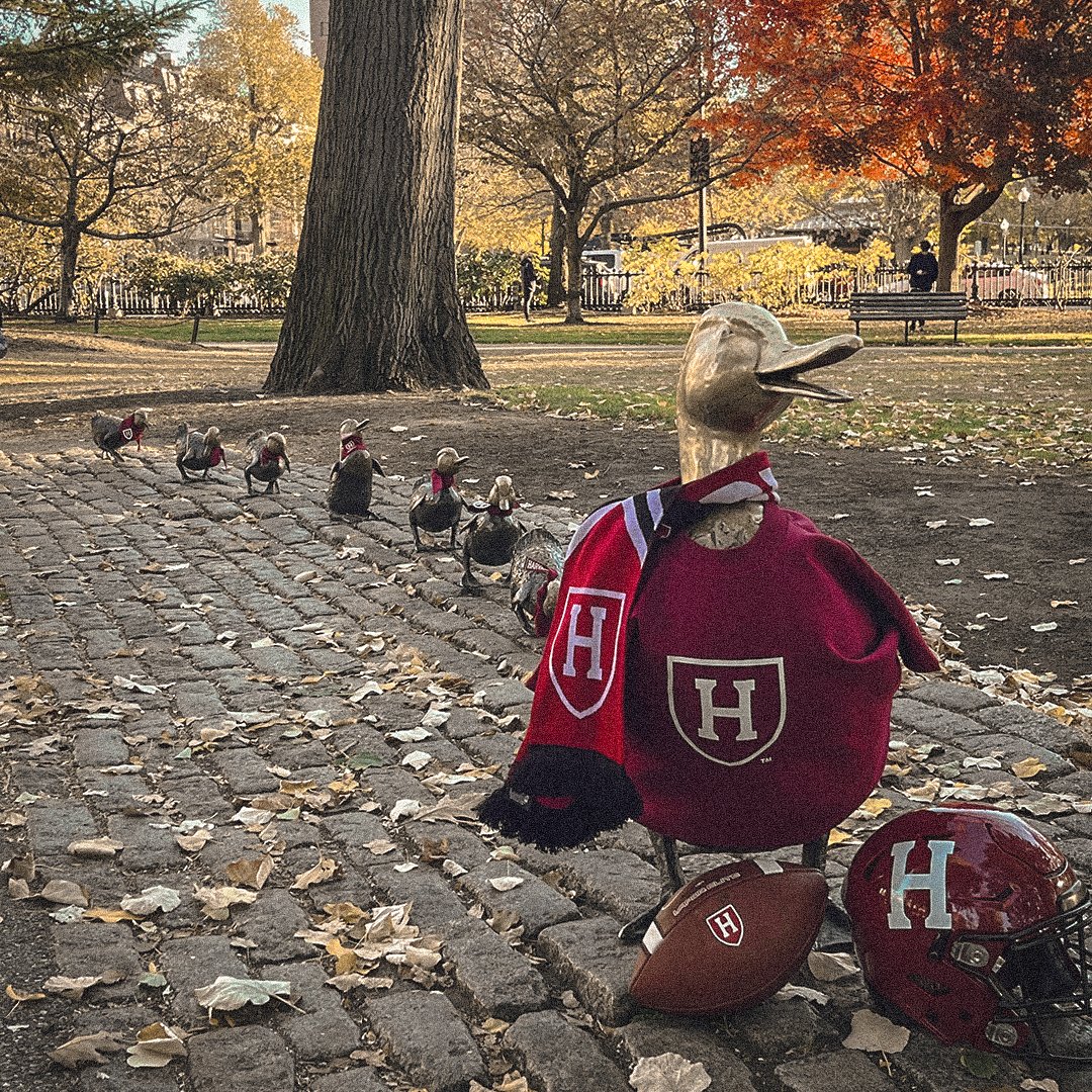 HarvardFootball's tweet photo. 🔴🌃 Can you tell it’s Harvard-Yale Week?

#GoCrimson #OneCrimson https://t.co/i8R9OeX5TT