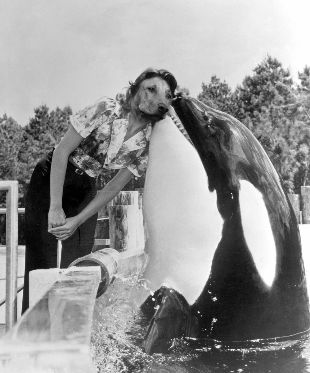 Some things just don’t belong in confinement. 

The future of our global financial system is one of them. 

Our work is far from over…