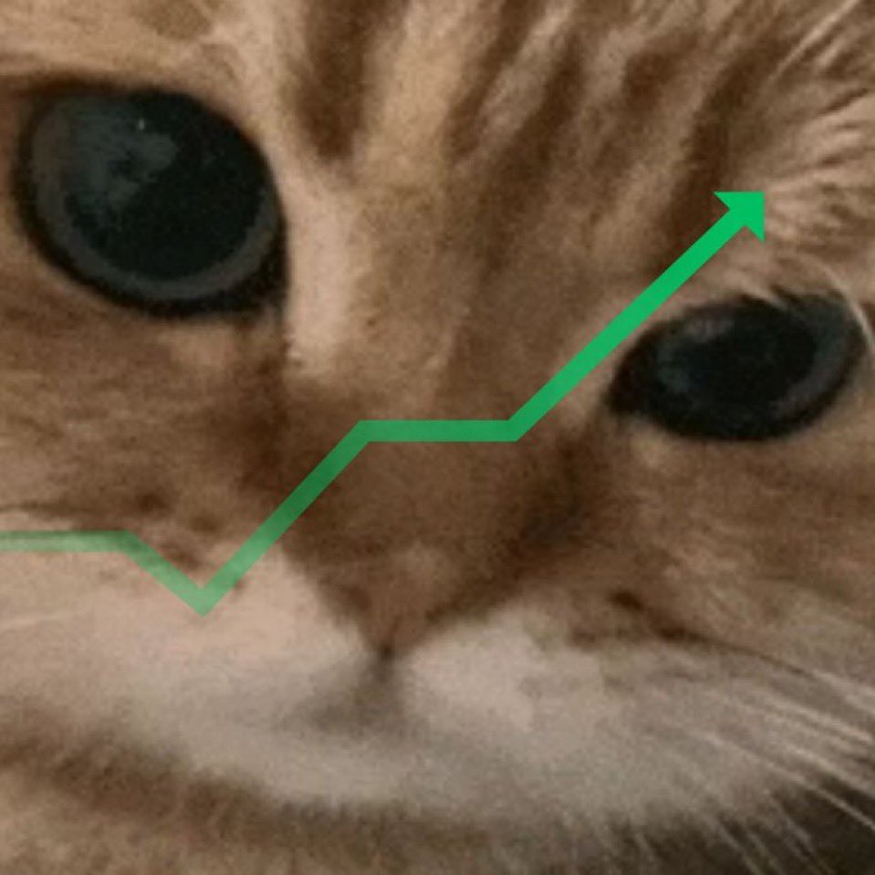<a href="/LedgeNFTs/">LEDGE</a> Is cat szn fren join the cook 🫵😼

😼 $RAWR 😼

<a href="/rawrcatsolana/">$rawr cat</a> ✨

Ca: B6mZkAkmWS2VaLVP1VJwfLfzkJX2tMt6uyCurkorpump