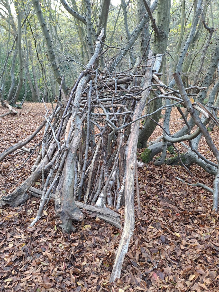 Cardfields tweet media