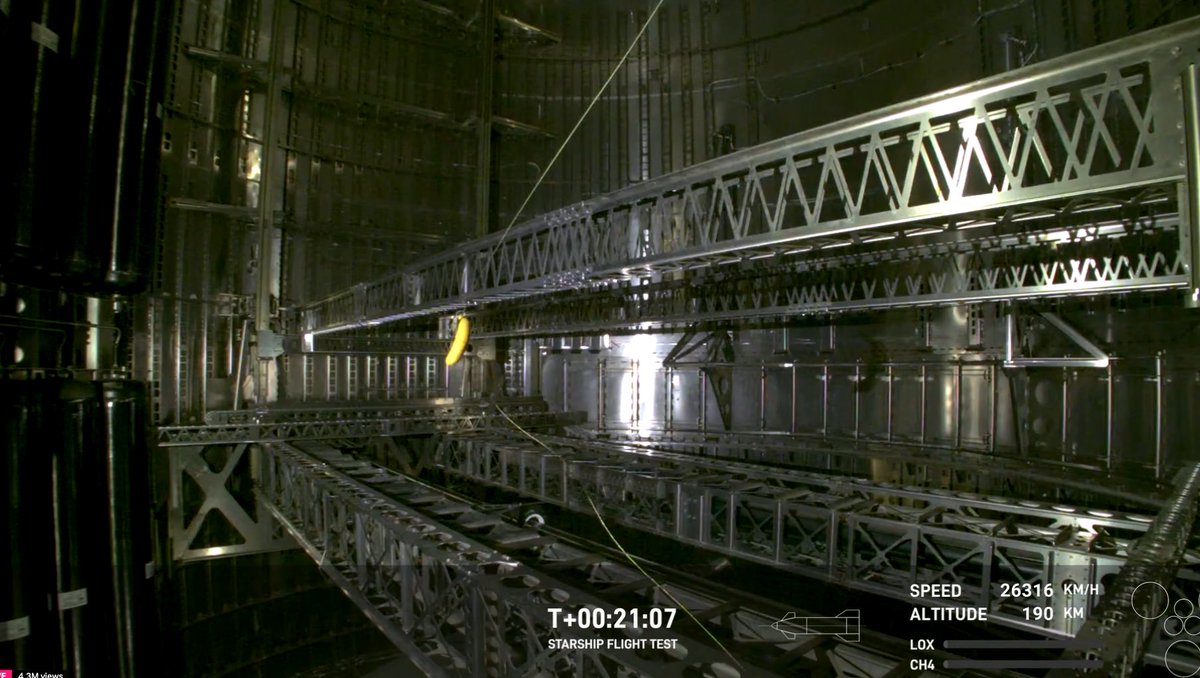 Woohoo!! ITS BANANAS! If you know, you know! 🍌