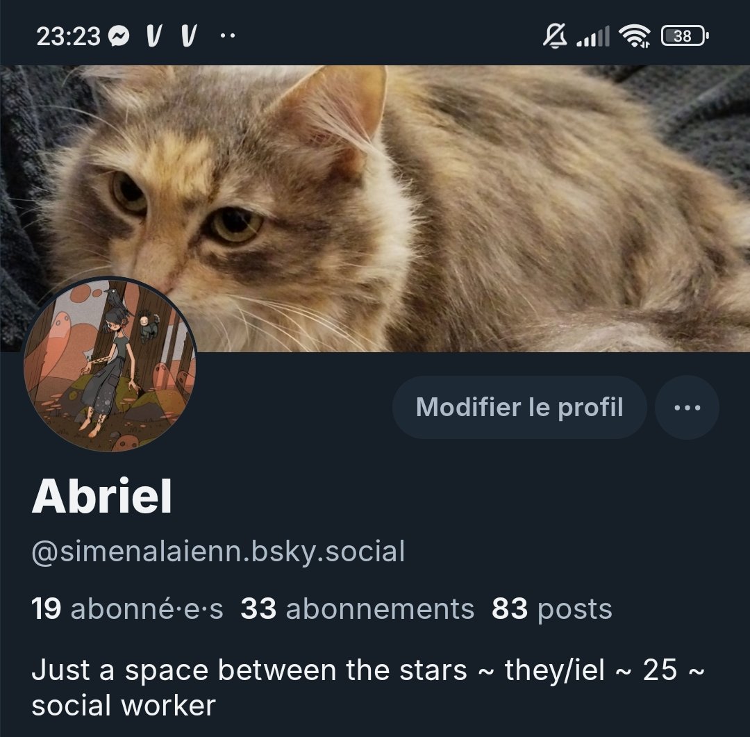 simenabriel's tweet image. I'm back