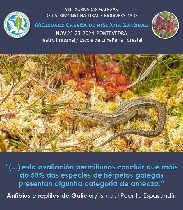 No marco das VII Xornadas Galegas de Patrimonio Natural e Biodiversidade organizadas pola Delegación de Pontevedra da Sociedade Galega de Historia Natural
📝 Inscricións: forms.gle/peegHaxSyxzRH4…
ℹ️ Máis info: sghn.org/inscricion-vii…