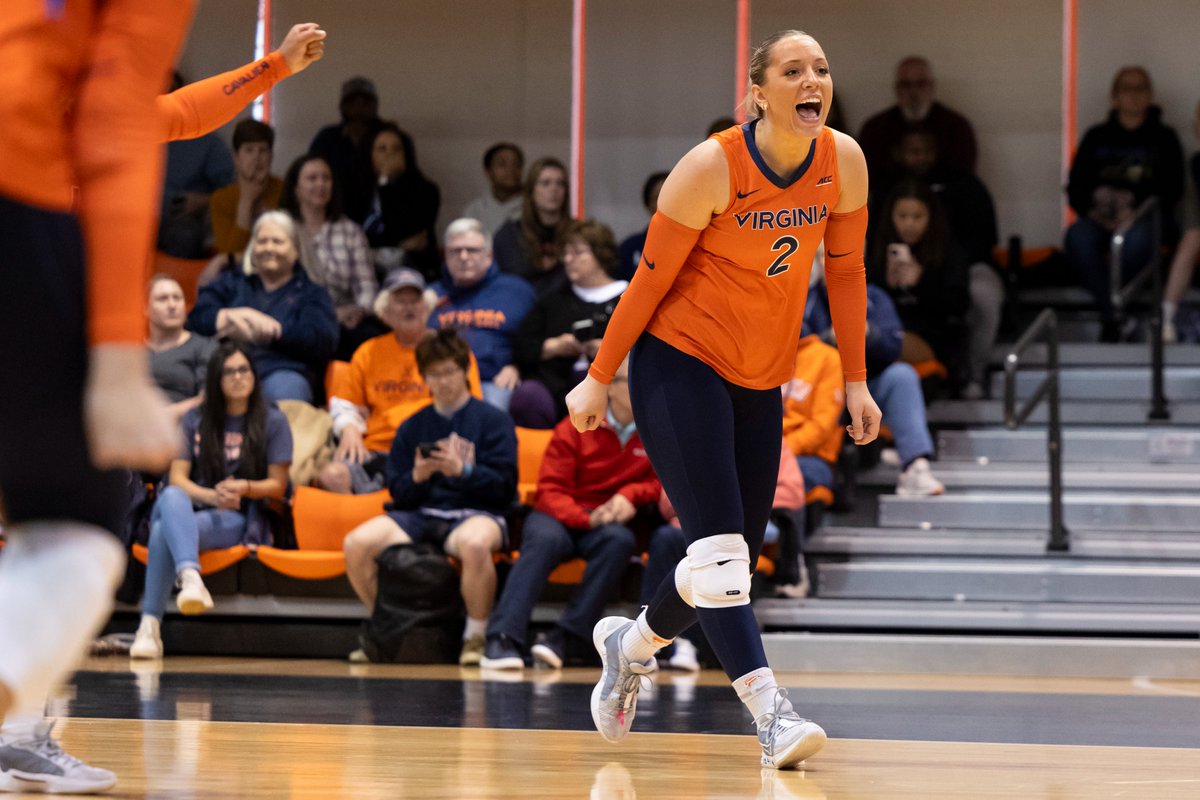 Virginia Volleyball tweet media