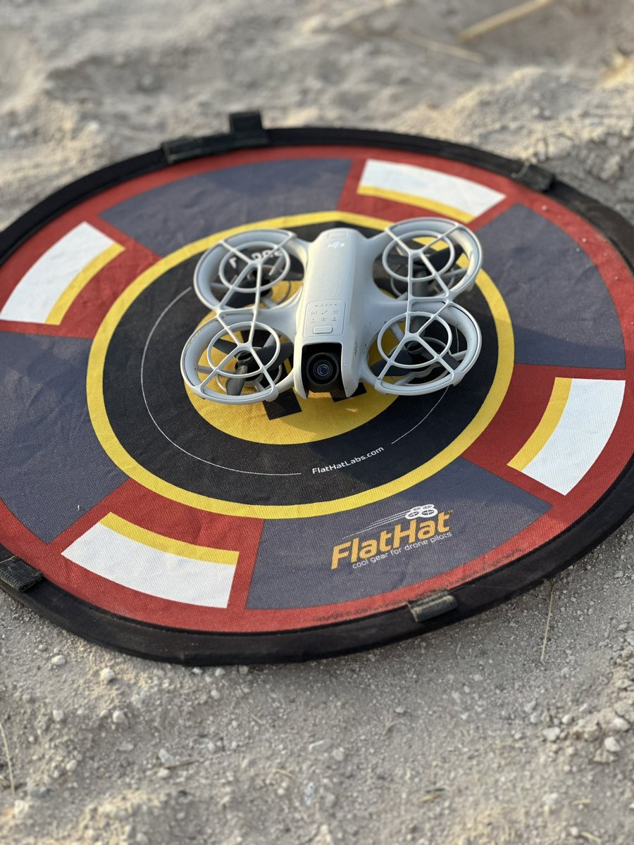 Have I told you how much I love this little drone?