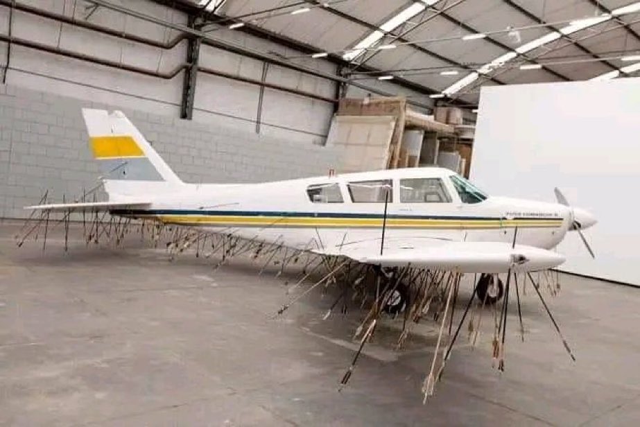 Atacaron el avión de la albirroja 😡