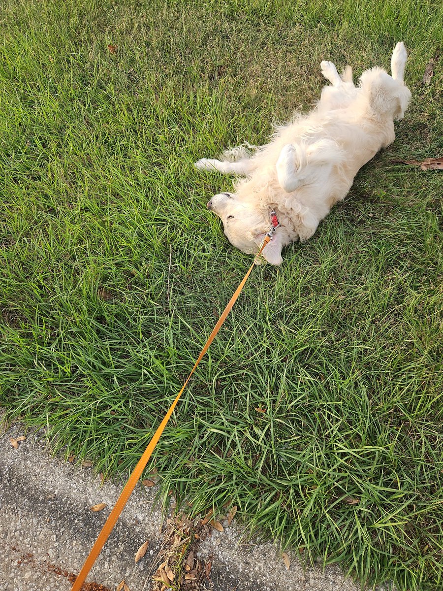 Is this what go home means?