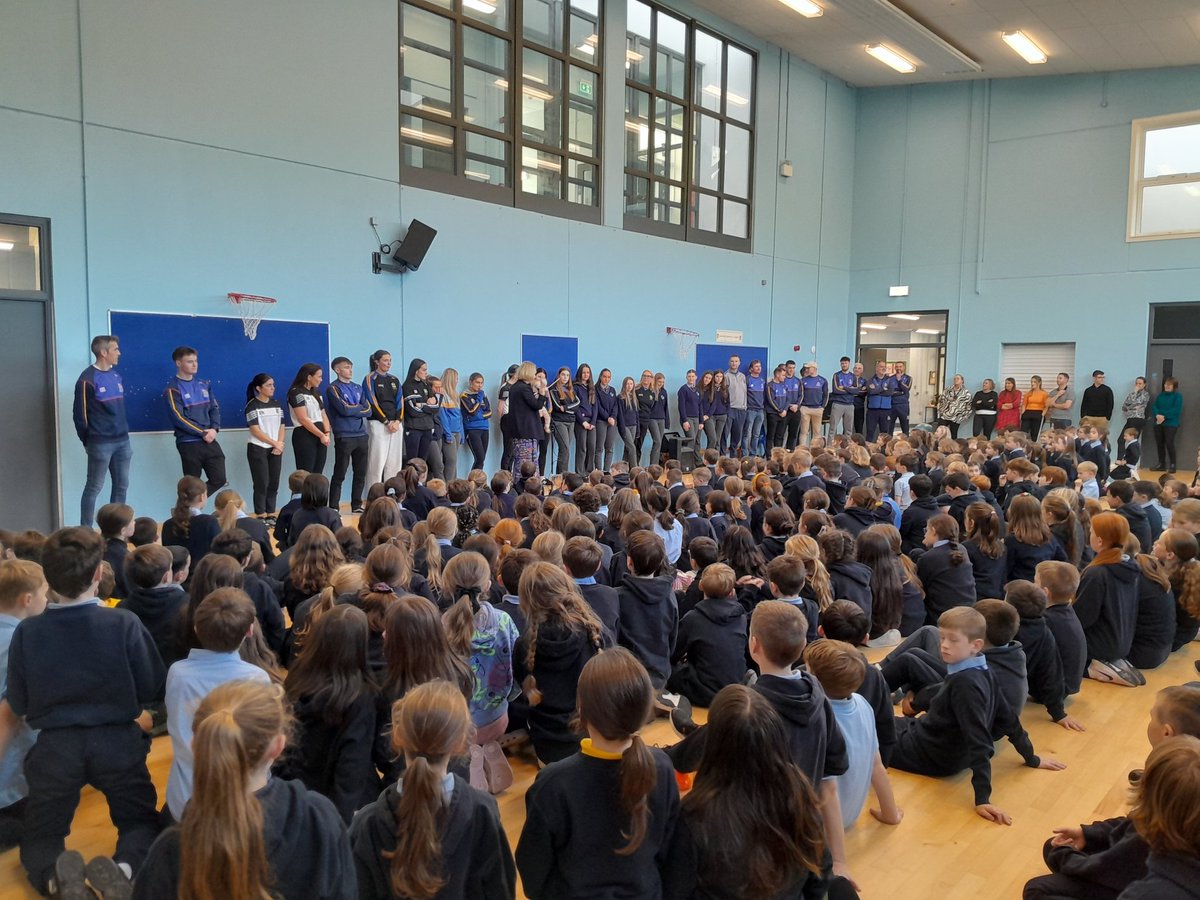 Carrigaline GAA Games Promotion Officer tweet media