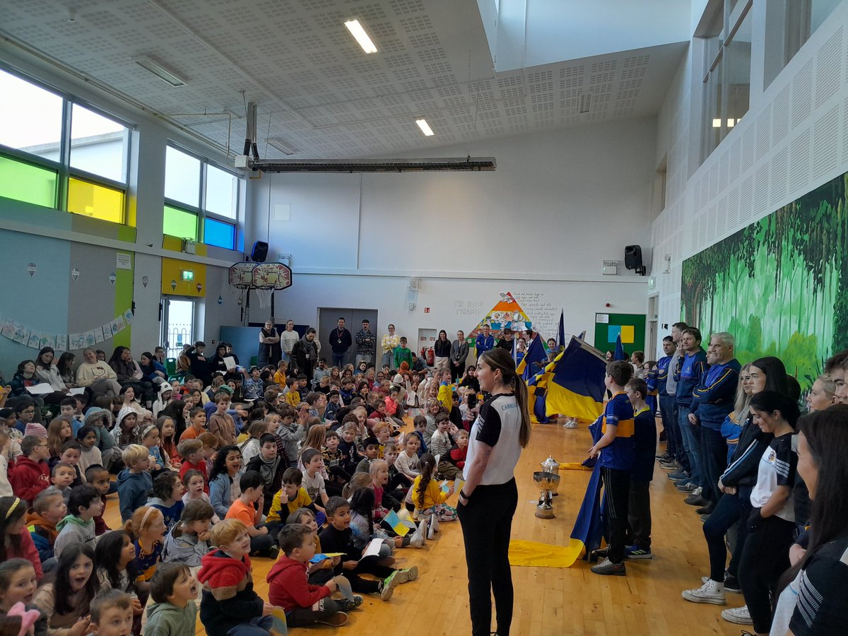 Carrigaline GAA Games Promotion Officer tweet media