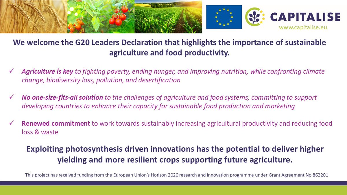 The talking is over, it's time for action! #photosynthesis #agriculture #CropImprovement #CropBreeding