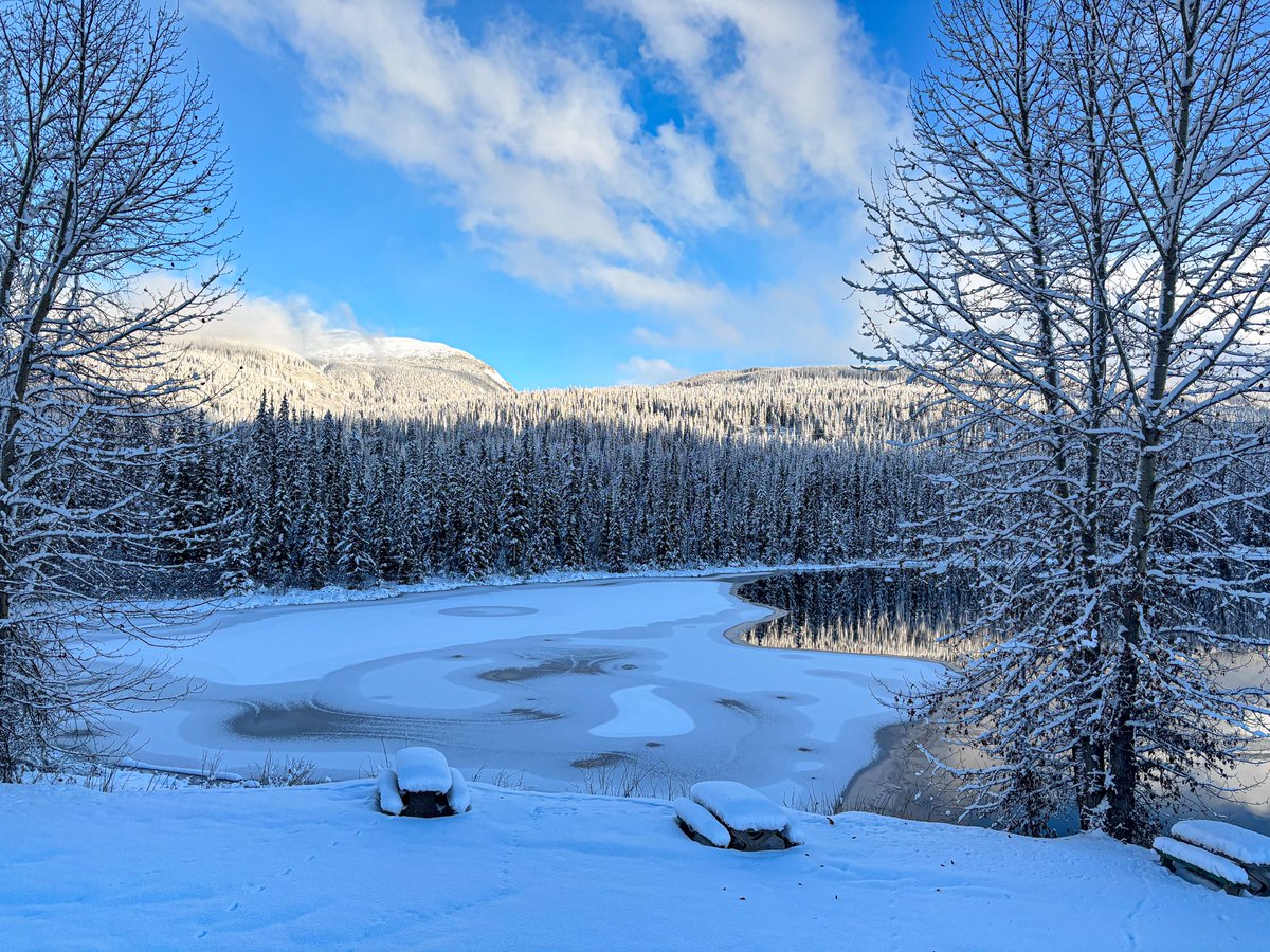LastFrontHeli's tweet image. Winter is here. Not long now until our season start in late December. For weekly weather head to: lastfrontierheli.com/heliskiing-con…