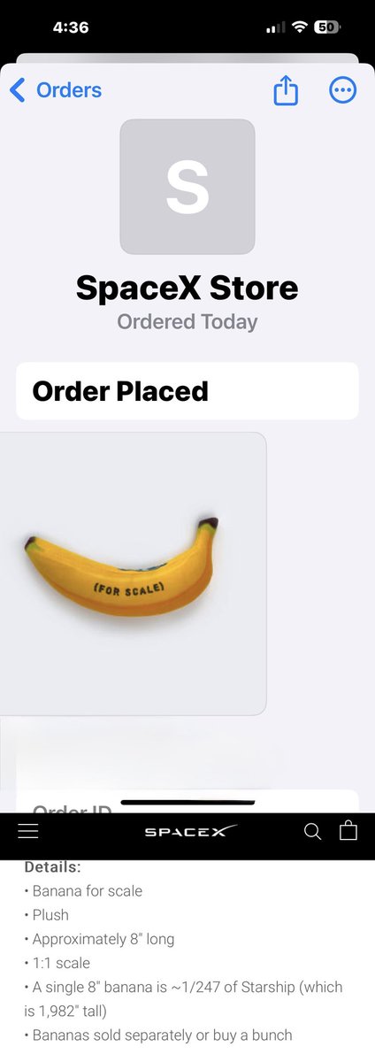 VickieMacFadden's tweet image. May have ordered more than one. 🥴🍌#Starship #TestLaunch #SpaceX #BananaForScale