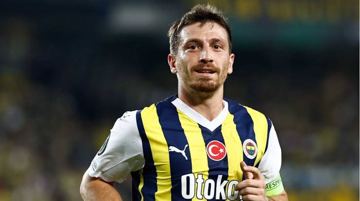 Nurizade Bey tweet media
