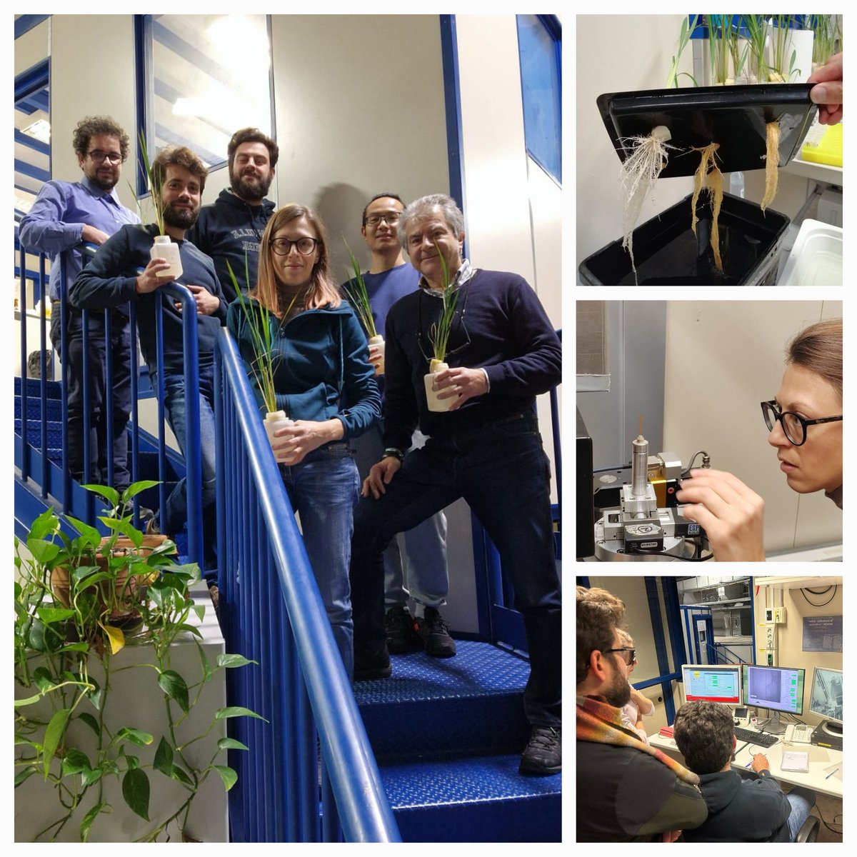 Daniel Said Pullicino (@dsaidpullicino) on Twitter photo #ROOTARMOUR team working nights at the #electra #sincrotrone facility looking at #rice #ironplaque morphology as influenced by #phosphorus availability. <a href="/unito/">Università di Torino</a> <a href="/uniud/">Università di Udine</a> <a href="/Pellegrini_Eli/">Elisa Pellegrini</a> raer.unito.it/projects/roota… #ROOTARMOUR team working nights at the #electra #sincrotrone facility looking at #rice #ironplaque morphology as influenced by #phosphorus availability. <a href="/unito/">Università di Torino</a> <a href="/uniud/">Università di Udine</a> <a href="/Pellegrini_Eli/">Elisa Pellegrini</a> raer.unito.it/projects/roota…