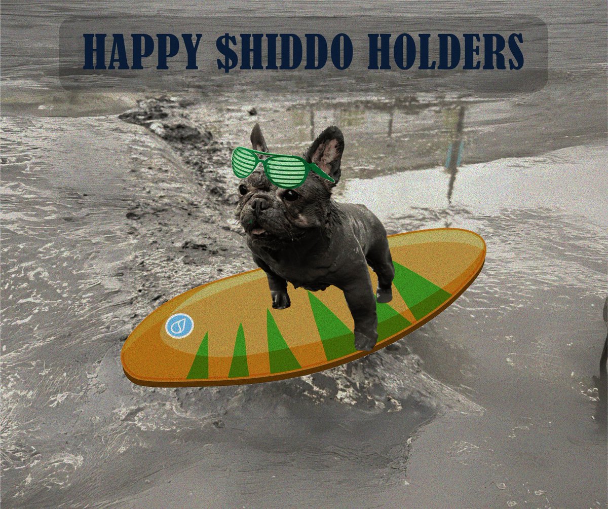 Hiddo | SuDog tweet media