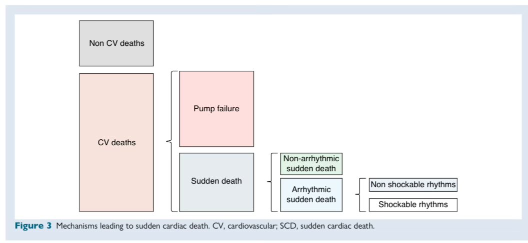🚨Ventricular arrhythmias in acute heart failure: a clinical consensus 📝 of the #AACC, #EHRA &amp; #HFA

#PositionPaper #epeeps#HF