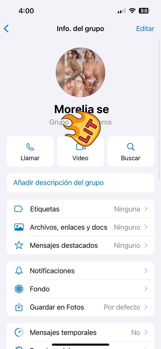 Amigos Morelia tweet media