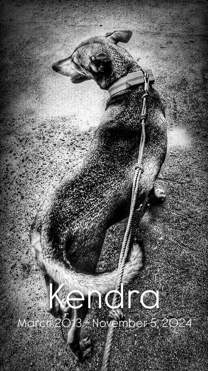 Juice_Blank's tweet photo. @RX931 #TheMorningRush #SomethingHasChangedWithinMe
When my dog Kendra died, I think it changed me, na para akong naging more matured, like a part of me died with her. https://t.co/sRxDyNSmGX